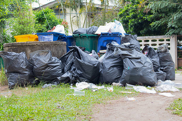 Best Yard Waste Removal  in Las Quintas Fronterizas, TX